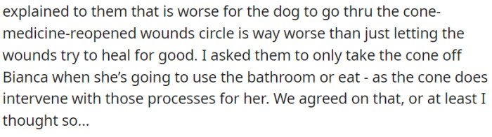 OP then asks that Bianca should only be able to take the cone off when necessary, so the scab-picking can still be minimized.