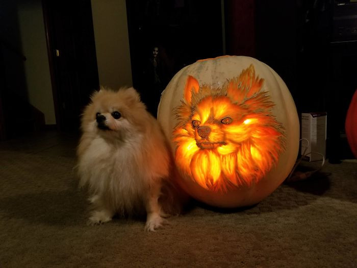 2. This is the cutest little replica of their dog ever. It took a lot of skill and detail to create this.
