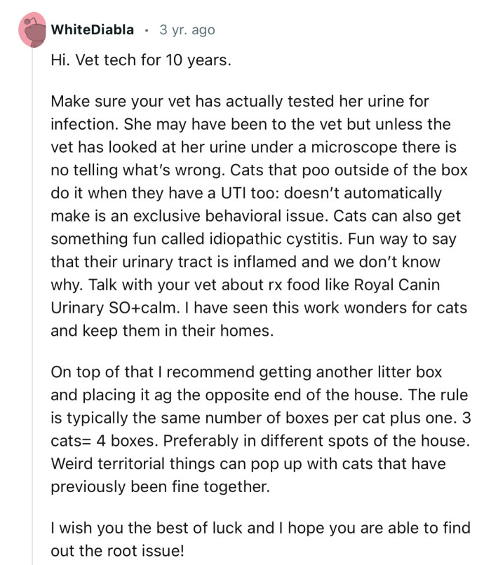 An experienced vet has stepped in to give some expert advice