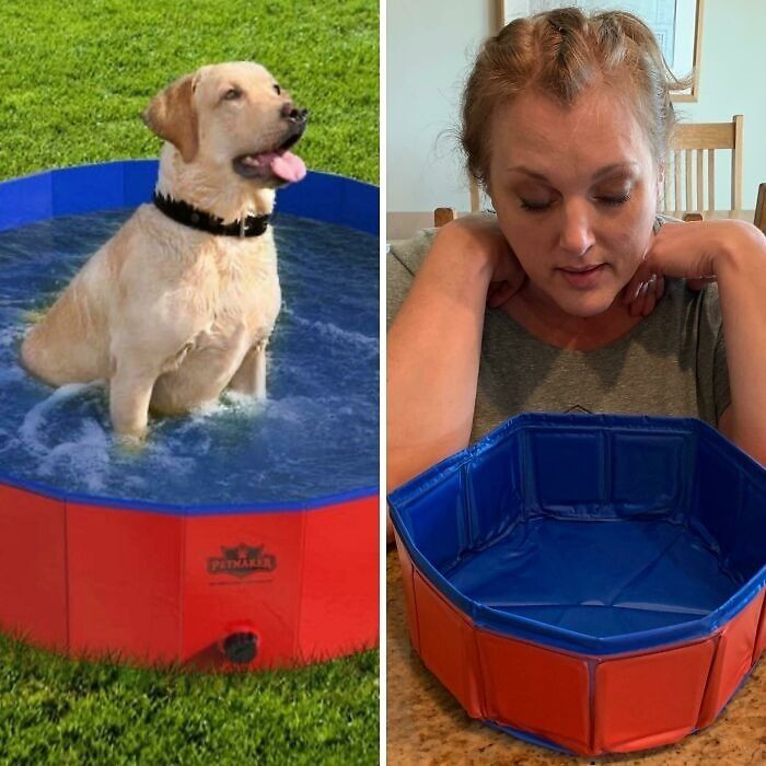 47. “Extra Large” Dog Pool