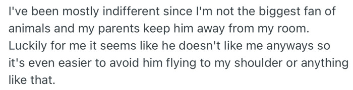 OP has been indifferent about the parrot