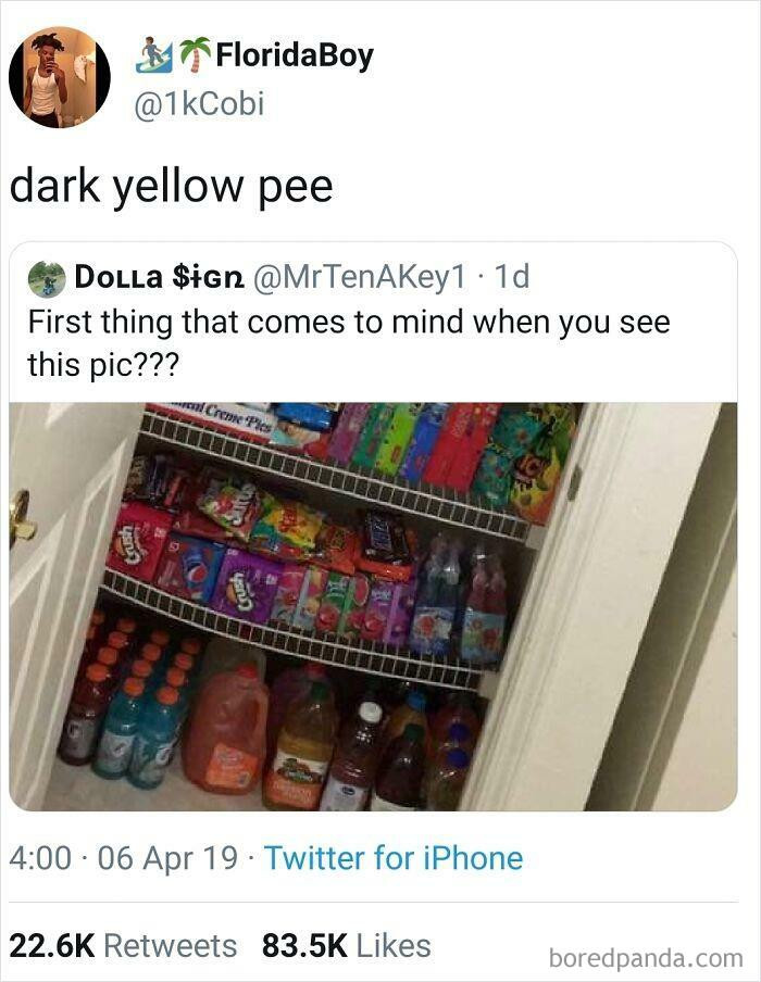 28. Diabetes - Detective In The Wild