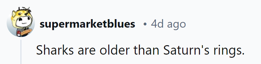 Sharks: making waves since before Saturn learned to accessorize with rings.