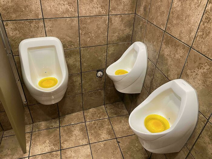 "Which One Do You Choose?"