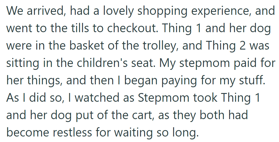 At the store, they checked out. Thing 1, her dog, and Thing 2 were with them; Stepmom paid first, then he did.