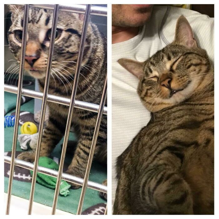 "From “Take Me Home” To “Never Let Me Go”. We Adore Our Little Dude"