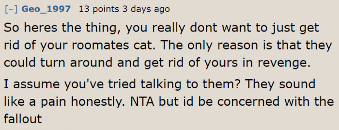 If the OP rehomes the cat and the roommate finds out, they might take revenge on the OP.