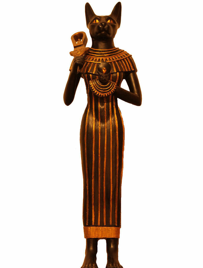 3. This is wild, but not surprising.