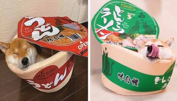 10. Instant ramen cup bed for pets