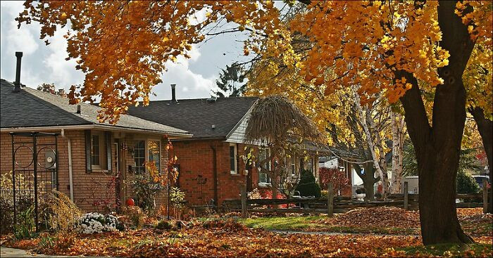 8. Homeowners Association