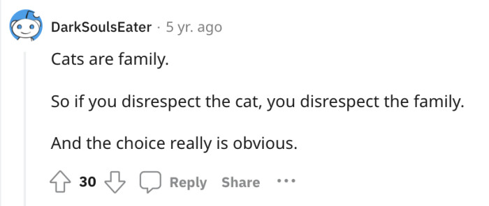 Cats are family. Simple as that.