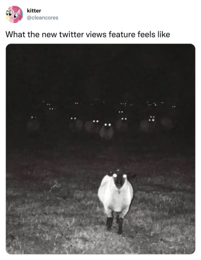 Twitter views feel like