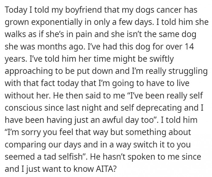 OP felt that it was unfair for her boyfriend to compare his day to hers when she was grieving the loss of a pet she's had for 14 years