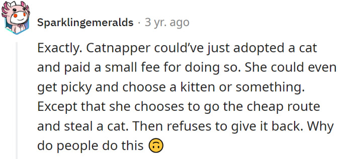 They could have adopted a cat