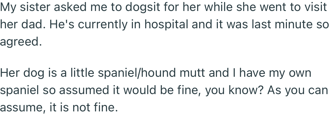 OP agreed to dog-sit for her sister who went to visit her dad at the hospital