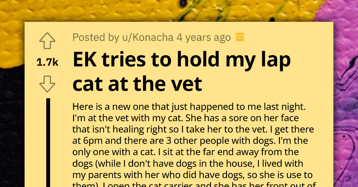 Redditor Clashes With Entitled Mom Over Cat-Cuddling Rights At The Vet’s Office