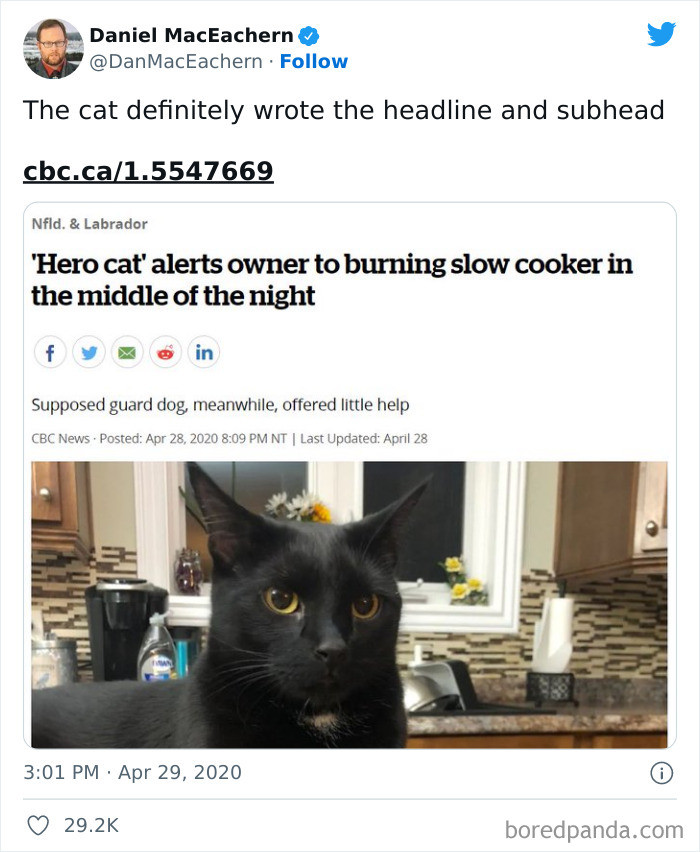 36. The cat wrote them, and there's no doubt about it