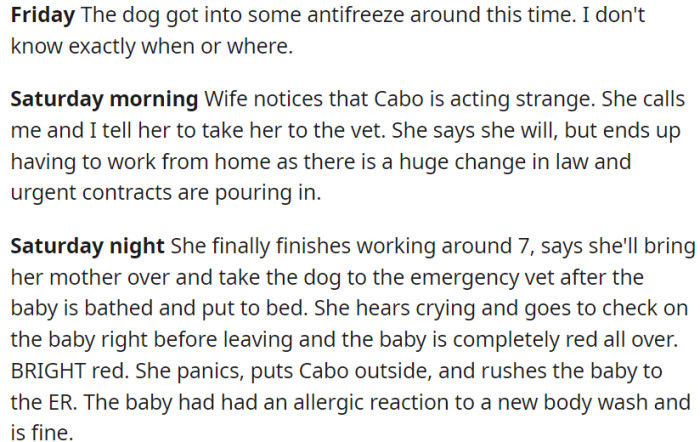 At a certain point, the dog consumes antifreeze. However, OP's spouse is burdened with numerous responsibilities, preventing her from being able to bring the dog to the veterinarian over the weekend.