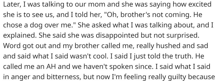 Her brother called her to say that he couldn't attend because he was picking up a new puppy the day before her graduation.