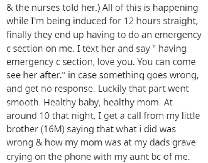 After the Birth, OP Got a Call from Her Little Brother