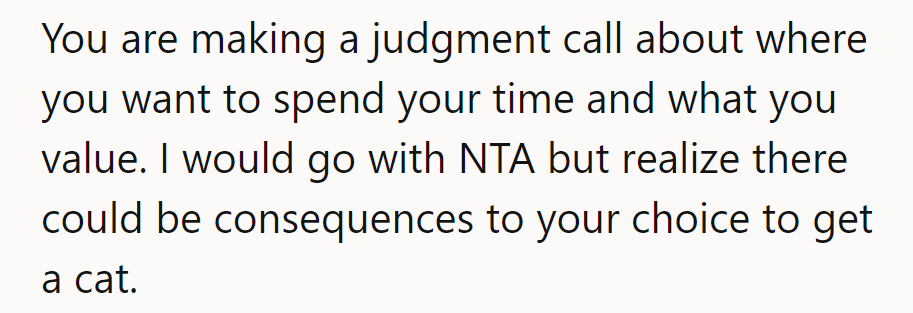 Choosing priorities wisely! Navigating NTA territory, but cat consequences might claw their way in.