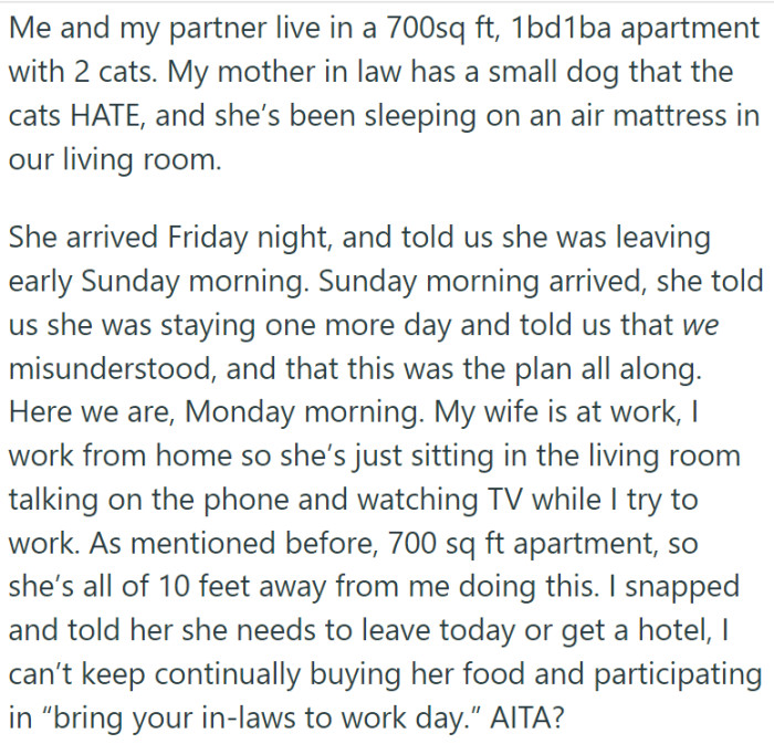 He and his wife live in a one-bedroom apartment and lead a peaceful life with their cats. Well, that was the case until his MIL arrived.