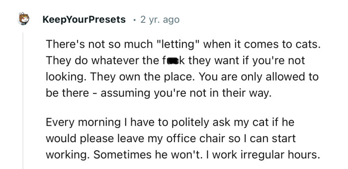 “There's not so much ‘letting’ when it comes to cats. They do whatever the f**k they want if you're not looking.”