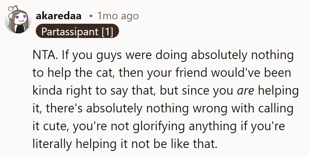 NTA. Helping the cat = cute comments allowed. Liz needs a nap and a rethink.