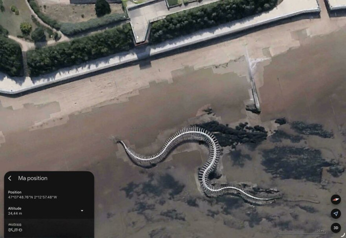 "Sea Monster Skeleton French Atlantic Coast"