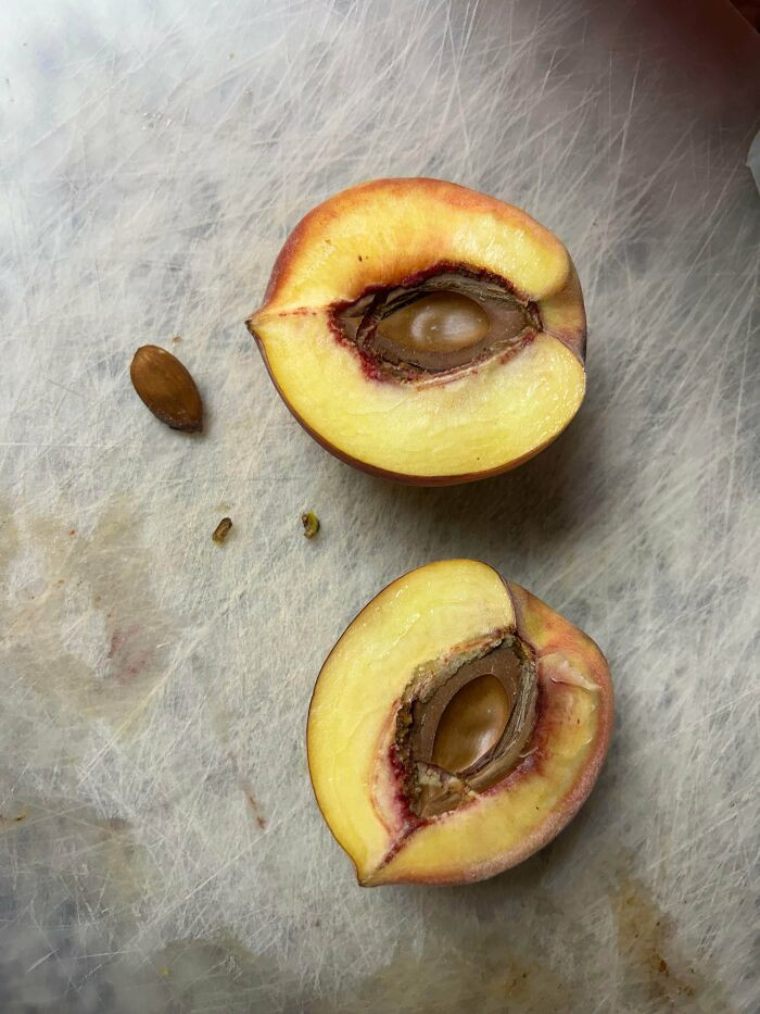 8. Cut Open A Peach And There Was An Almond Inside?