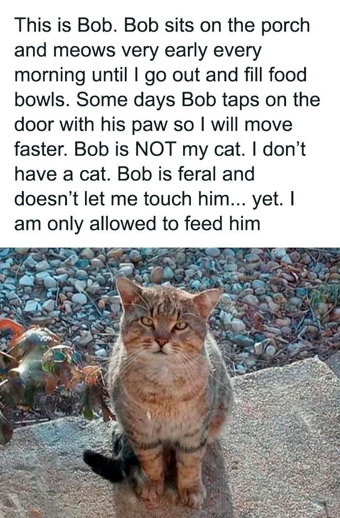 3. If this doesn’t prove that cats are overlords, I don’t know what will
