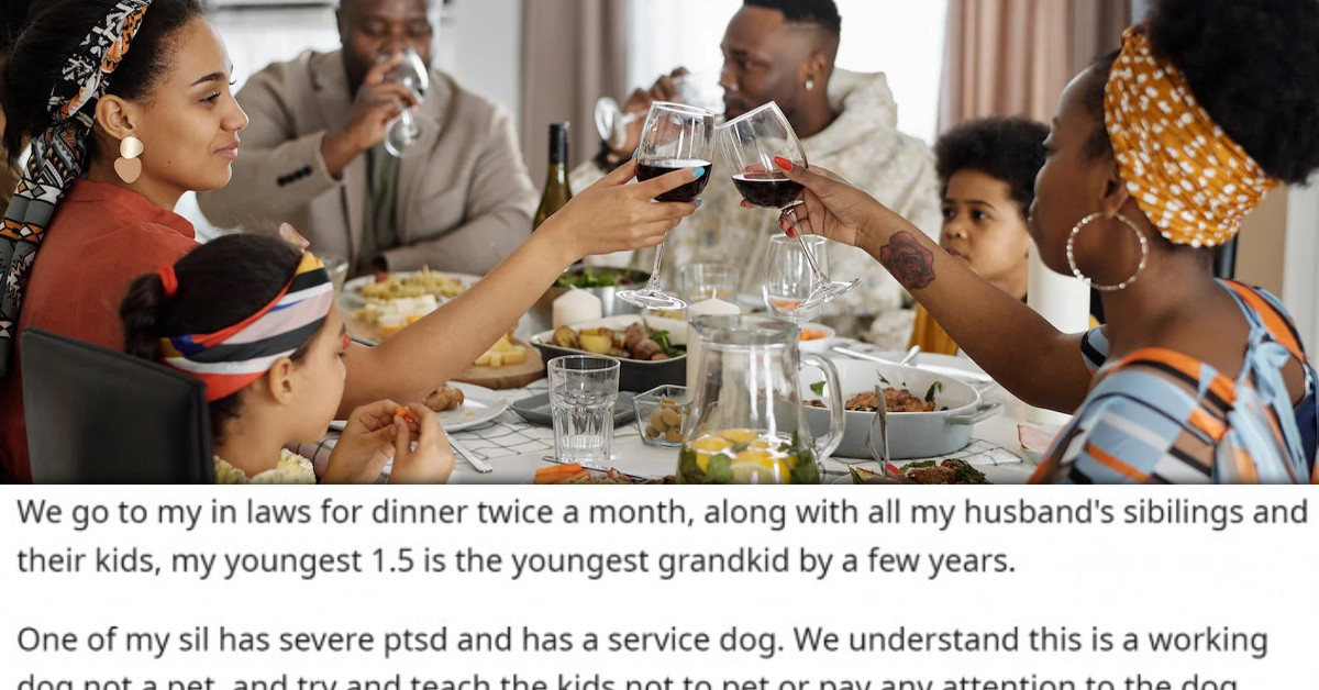 Woman Doesn't Want To Attend Family Dinners Anymore Because Her Kid Can't Stay Away From Her SIL's Service Dog