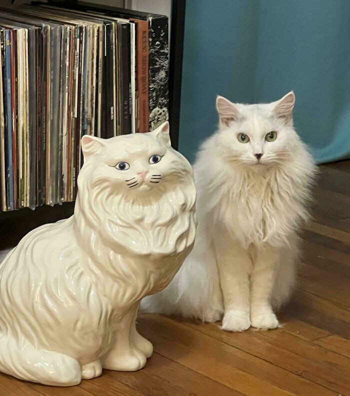 "I Finally Found One Of These Statues For A Fair Price! My Cat Is Not Impressed…"