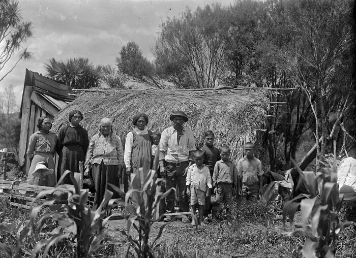 Maori Family Standing Outside A Whare Thatched With Palm Fronds At Rangiahua, 1918