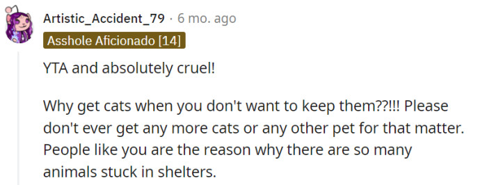 OP's decision to allow their daughter to get a cat and later ask her to rehome it has been perceived as unkind and lacking consideration for the animal's welfare. The suggestion made by the commenter to refrain from getting any more pets in the future is based on the belief that responsible pet ownership involves a commitment to providing a permanent and loving home.
