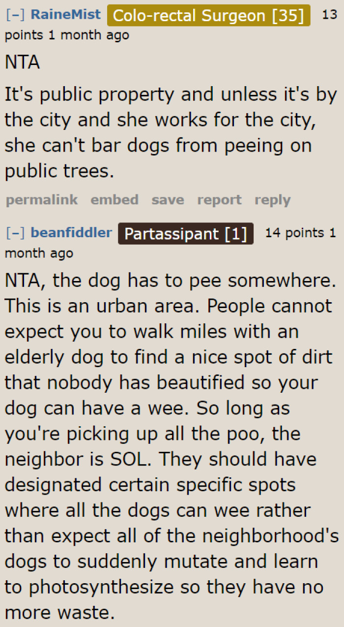 If the neighbor works for the city, then they may have the authority to place such signs.