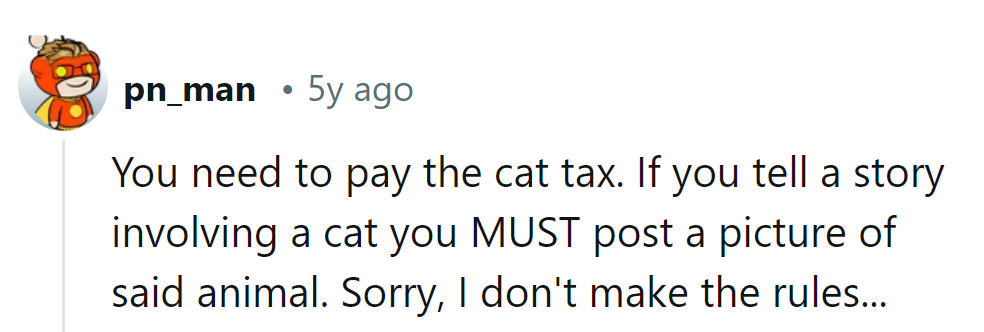 The unwritten rule of the internet: 'cat tax' or face the consequences! Better fetch the camera before the fur flies!