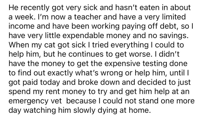 The Redditor's cat recently became very sick, and she spent her rent money to try to save him.