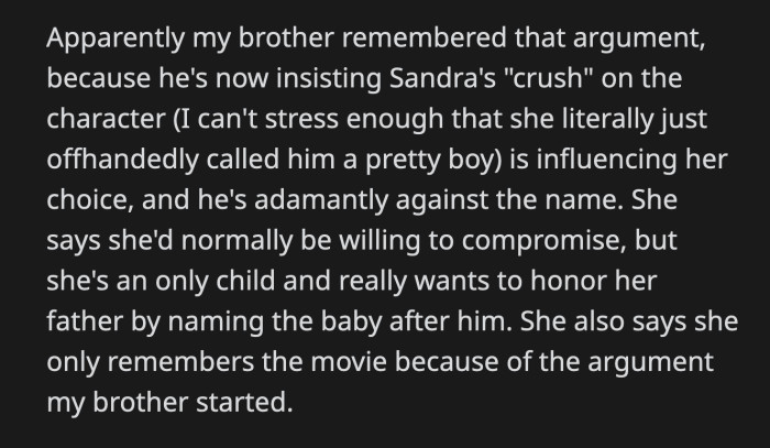 OP Confronted Her Brother at a Family Gathering for Fighting His Pregnant Girlfriend Over Something Ridiculous