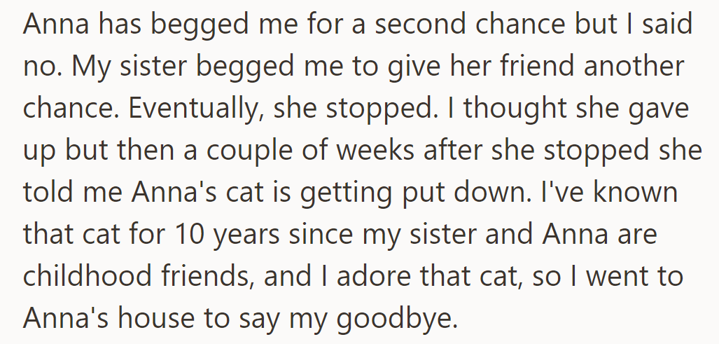 Anna begged for a second chance, but he refused. Later, he learned Anna's cat was being put down and went to say goodbye.
