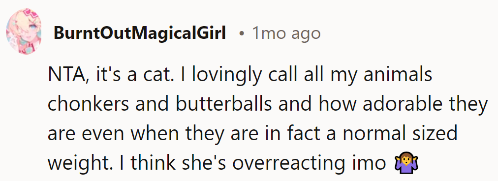 NTA. It's a cat! Liz needs to lighten up and give those chonkers some love.