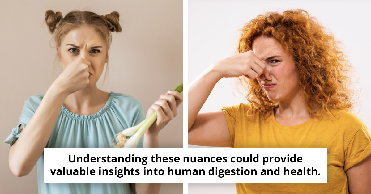 Insightful Study Reveals Why Women's Flatulence Often Has a Stronger Odor than Men's