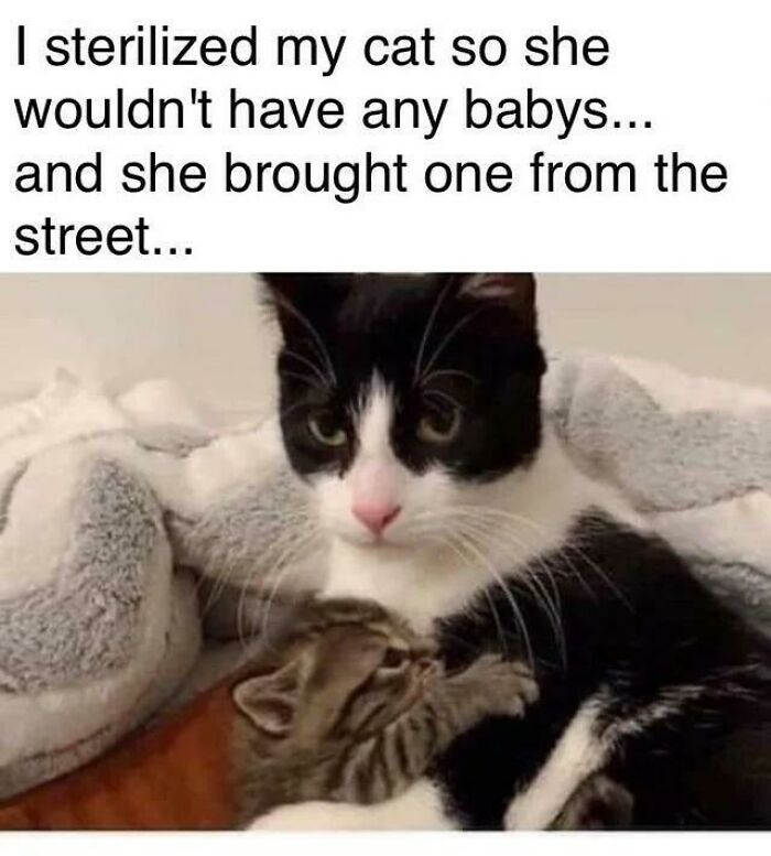 22. Blessed Instant Mom