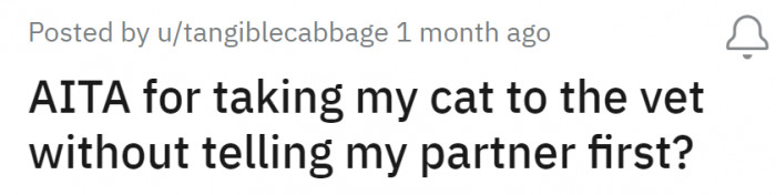A Reddit user by the handle u/tangiblecabbage shared her dilemma on the AITA Reddit sub-community, asking if she was in the wrong for bringing her cat to the vet without informing her partner first.