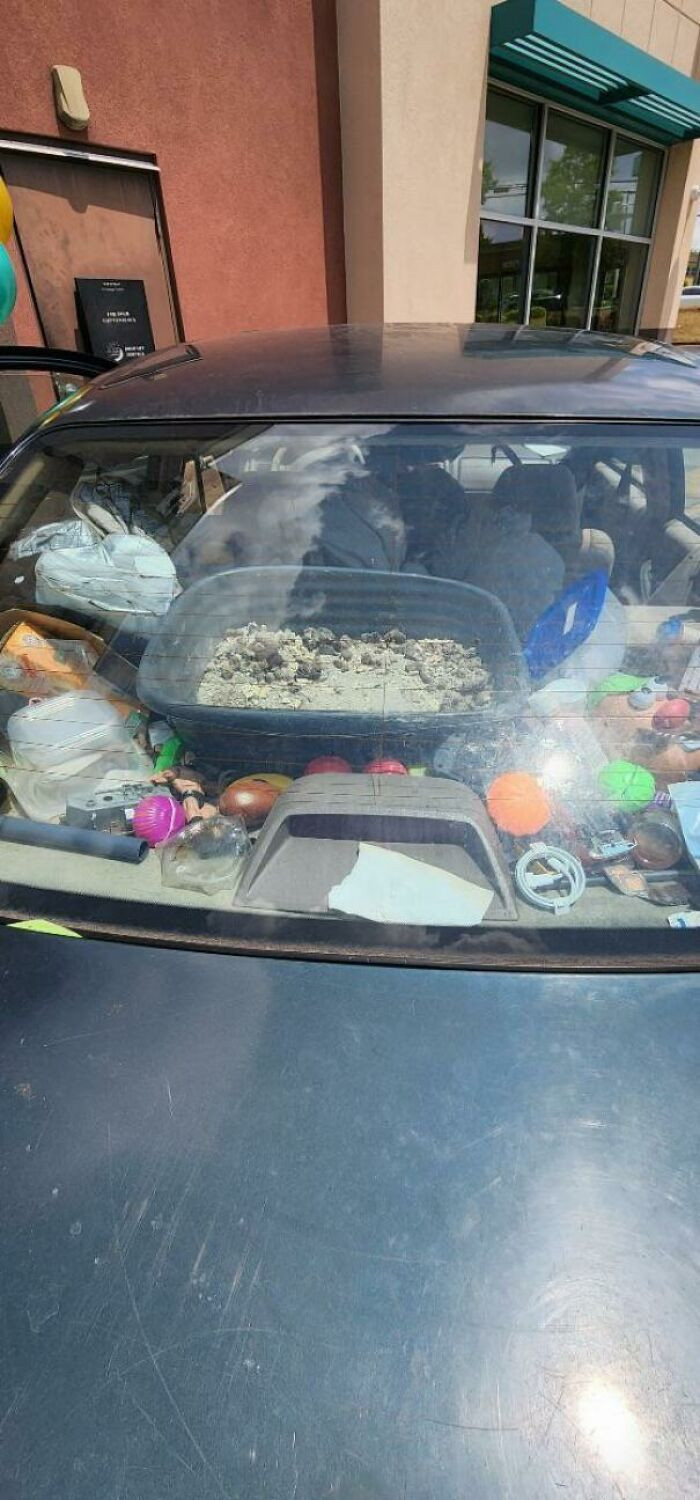 20. Tech States “I’m Not Getting In That Car, You Can’t Make Me”