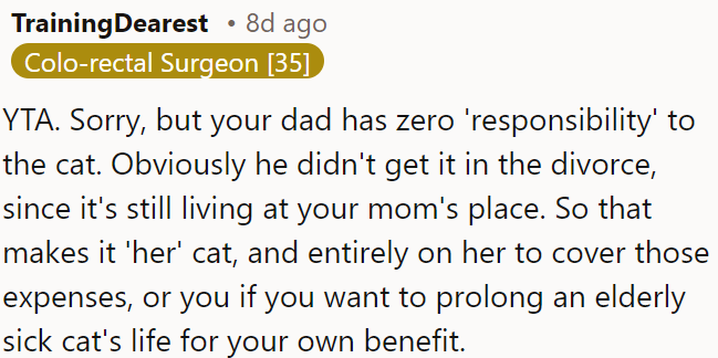 Since the cat lives with her mom post-divorce, it's her responsibility to cover its expenses.