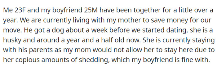 OP and her boyfriend live with her mother to save for their move, while his year-and-a-half-old husky stays with his parents due to shedding issues.