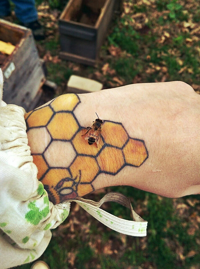 44. This Bee Landed On A Tattoo Of A Honeycomb