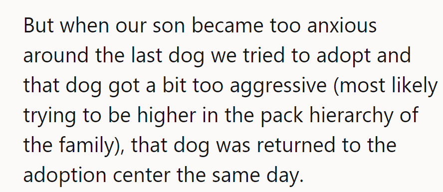When their son got anxious and the dog acted aggressively, it was returned that same day.