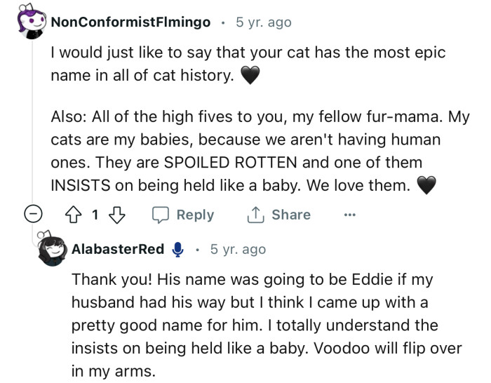 “I would just like to say that your cat has the most epic name in all of cat history.”
